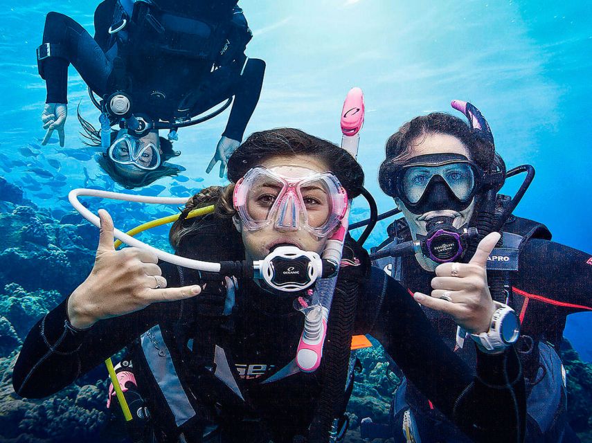 Funchal: Scuba Diving Experience for Beginners - Price check: is $53 per person good value?