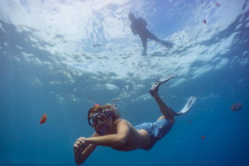 Funchal: Snorkeling Adventure in Eco-Park / Shore or by Boat - The 2-Hour Flow: What Happens Before You Hit the Water