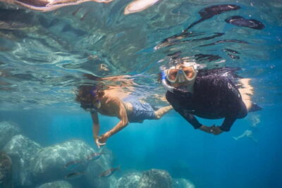 Snorkeling Adventure in Eco-Park / Shore or by Boat