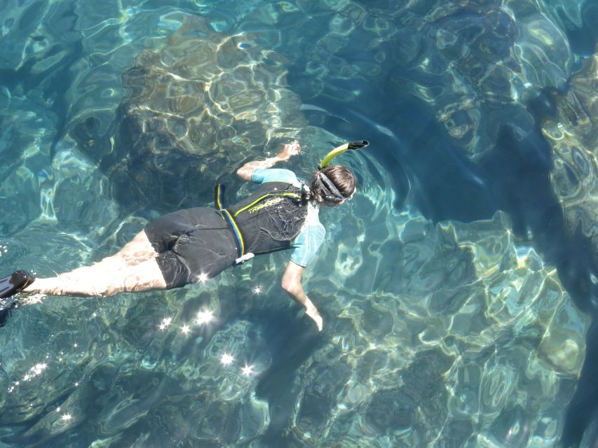 Funchal: Snorkeling Adventure in Eco-Park / Shore or by Boat - Meeting Point Made Simple: Pestana Carlton to Sea Level