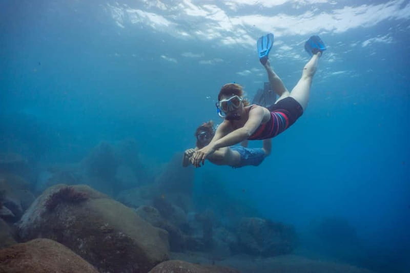 Funchal: Snorkeling Adventure in Eco-Park / Shore or by Boat - Price and Value: What $17 Buys You in the Real World