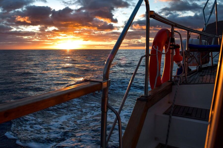 Funchal: Sunset Sailing Tour - Dolphins, Pilot whales, and the real deal on wildlife chances