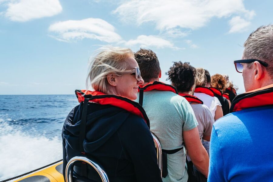 Funchal: Whale and Dolphin Watching Speed Boat Tour - Who this tour fits best (and who should skip it)