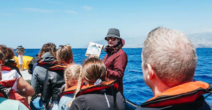 Funchal: Whale and Dolphin Watching Speed Boat Tour - Pier 8 start: getting on board at Ventura Nature Emotions