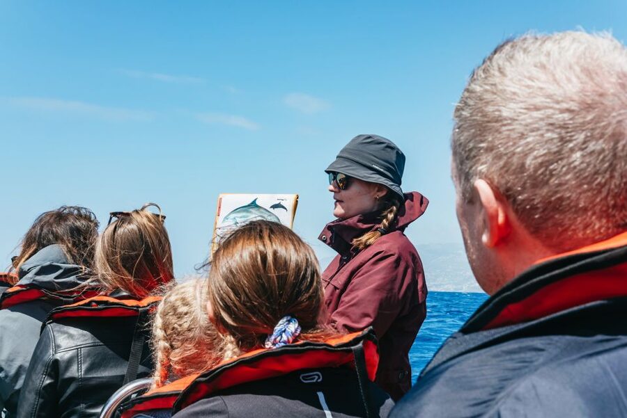 Funchal: Whale and Dolphin Watching Speed Boat Tour - The marine biologist briefing: how you actually learn the species