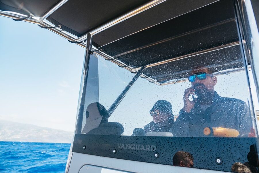 Funchal: Whale and Dolphin Watching Speed Boat Tour - Comfort and safety: lifejackets, seating, and a few practical tips