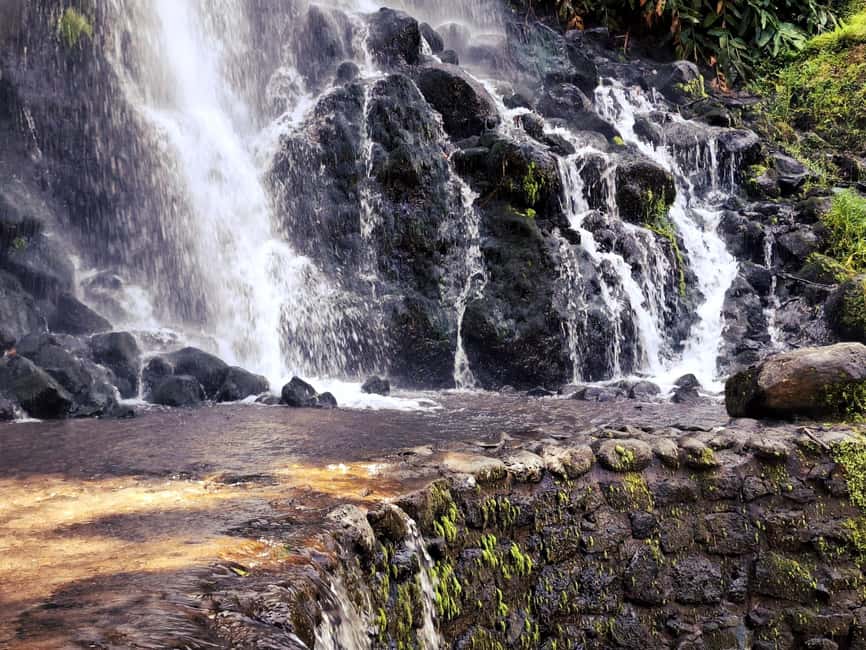 Furnas: Volcano Wonders, Tea Plantation & Waterfall Tour - Santa Iria Lookout: a strong start over the north-coast cliffs