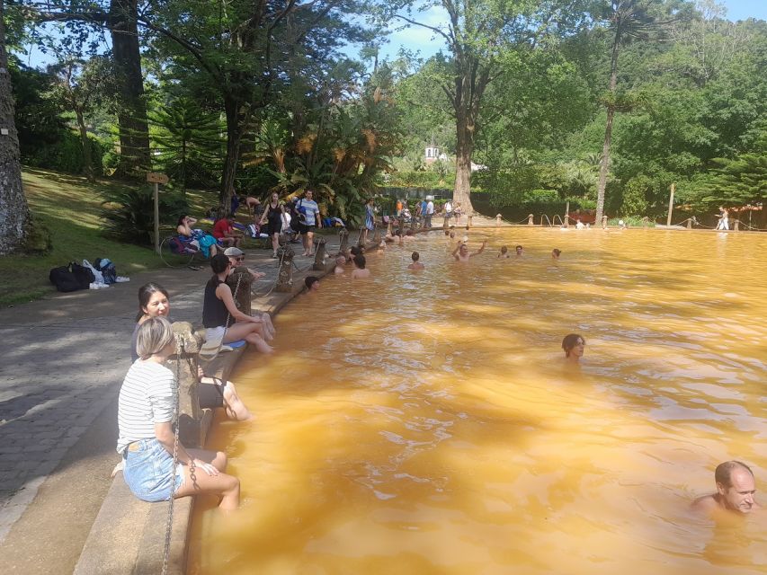 Furnas: Volcano Wonders, Tea Plantation & Waterfall Tour - Terra Nostra Botanical Garden and thermal pool: the soak decision
