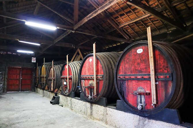 Genuine Douro Valley Tour: Visit 2 Wineries, Lunch & River Cruise - Who should book, and who might prefer a different setup
