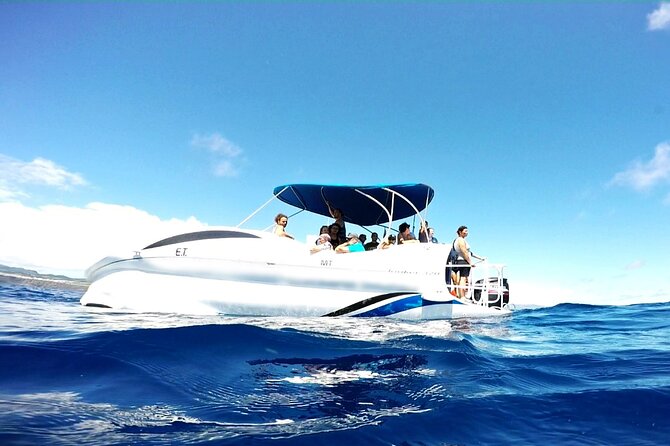 Glass Bottom Boat Tour & Snorkeling in São Miguel, Azores - What to pack: I’d rather you be overprepared