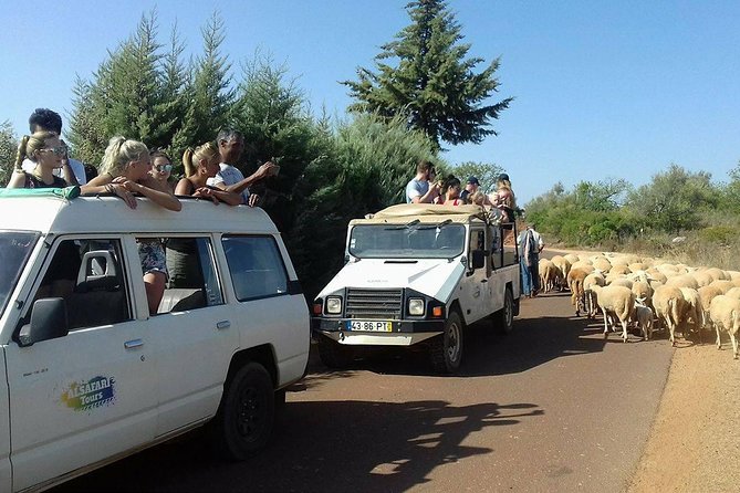 Half-Day Algarve Countryside and Villages Jeep Safari - Guides, group size, and why the stories matter on a jeep tour