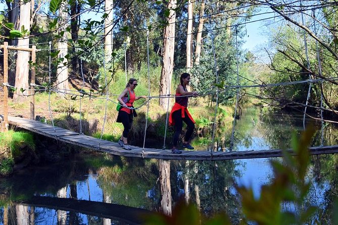 Half-day Hike & Picnic with Dog Love in Porto's Mountains - Serras do Porto Park hike: moderate walking with real trail variety