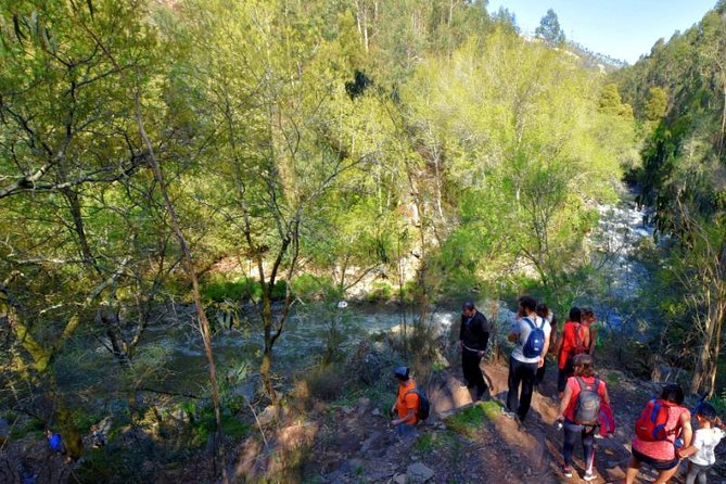 Half-day Hike & Picnic with Dog Love in Porto's Mountains - Who should book this Porto mountain hike, and who should skip it