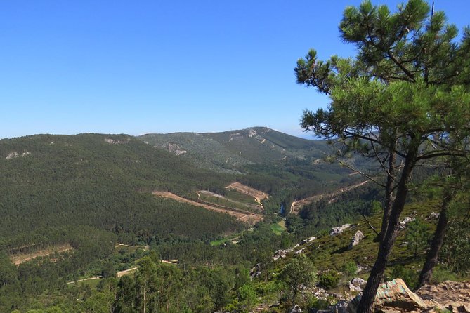 Half-day Hike & Picnic with Dog Love in Porto's Mountains - The picnic lunch that makes this half-day feel complete