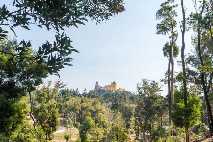 Half-Day Sintra Tour from Lisbon with Transfers - Transport and timing: where half-day tours win and lose