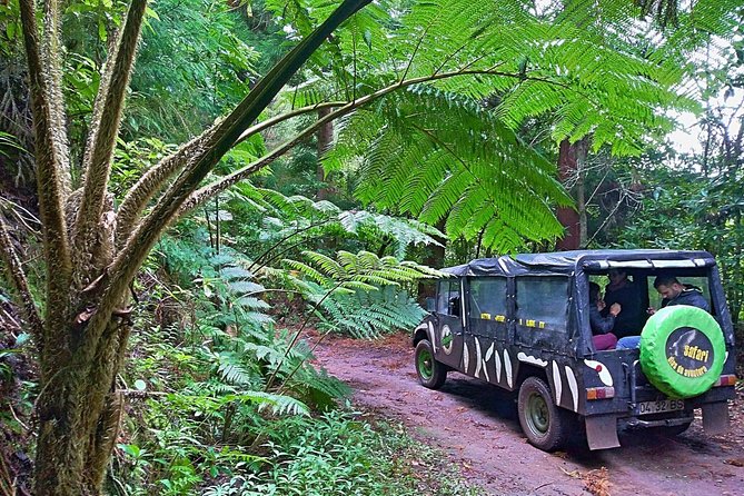 Half-Day Small-Group Madeira Village Safari from Funchal - Key things to know before your Madeira safari from Funchal