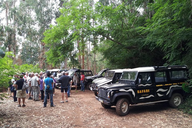 Half-Day Small-Group Madeira Village Safari from Funchal - Value for money: is about $53 per person worth it