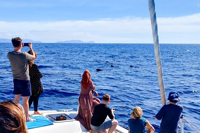 Half Day Tour on a Luxury Catamaran on Madeira Island - Swimming and Snorkeling: Get the Most From Your Time in the Water