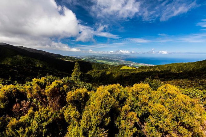 Hidden Gems of Sao Miguel Island Full Day Tour with Lunch - Pickup and Timing From Ponta Delgada (Don’t Stress, But Do Plan)
