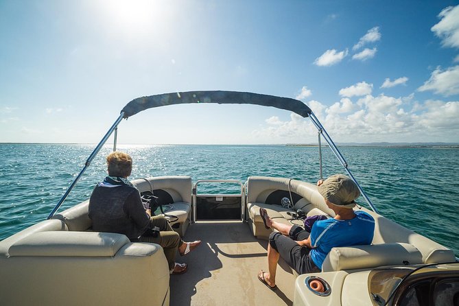 Ilha Deserta and Farol Island: a small group boat trip in Ria Formosa from Faro - Bird spotting and conservation talk that feels grounded