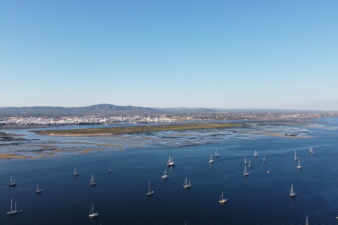 Islands Tour: Half Day Cruise in Ria Formosa Natural Park - Route timing: how the 4 hours usually feel in real life
