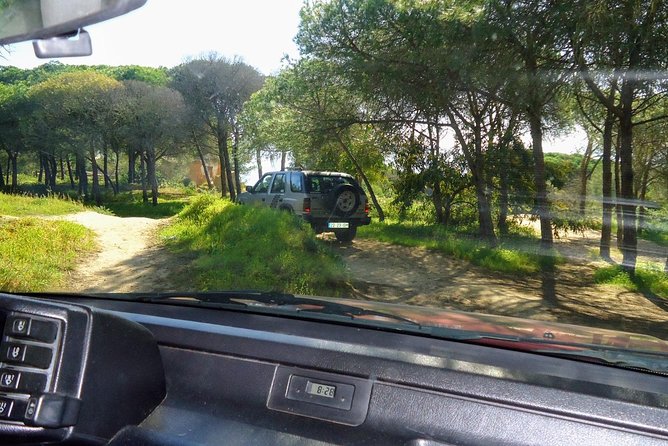 Jeep half day tour of our Algarve coast and mountains - Alvor Fishing Village Stop: Seafood Traditions and the Salva Vidas de Alvor Museum