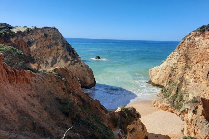 Jeep half day tour of our Algarve coast and mountains - Odelouca: Medronho and Cork Production in the Algarve Mountains