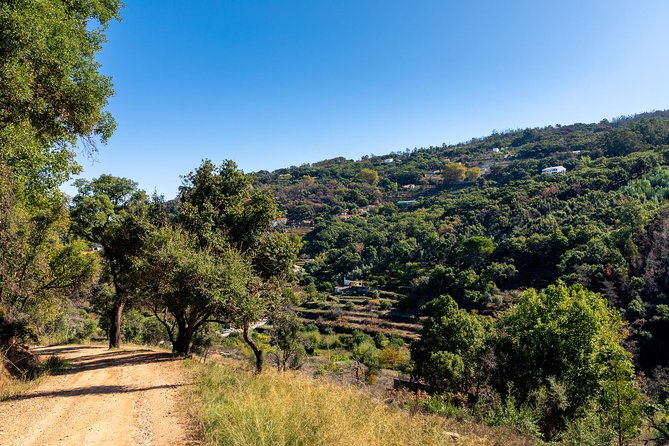 Jeep Safari #1 in Algarve - Monchique Off-Roading from Portimão, What Makes It Worth It