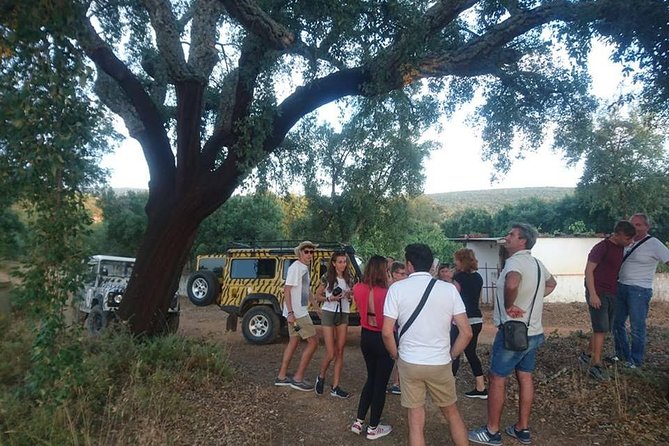 Jeep Safari Tour - Full Day - The off-road reality: seating, comfort, and safety belts