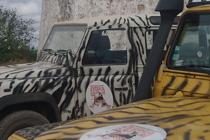Jeep Safari Tour - Half Day - Key highlights worth your attention