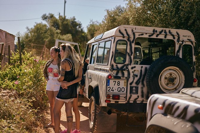 Jeep Safari Tour - Half Day - Pickup, timing, and the small-group reality