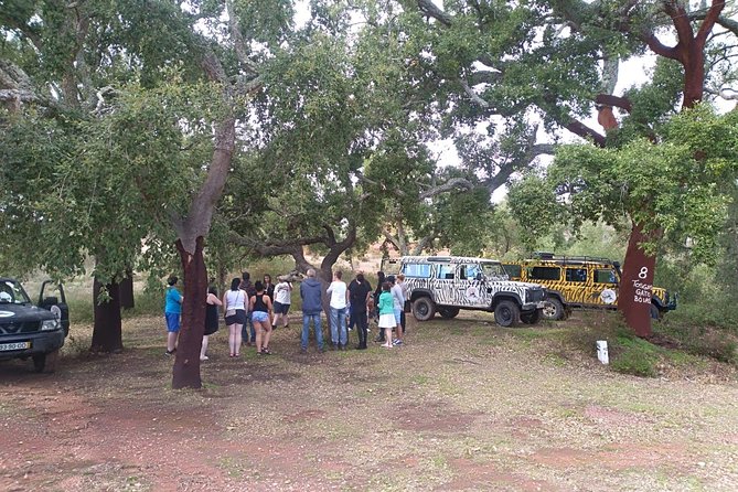Jeep Safari Tour - Half Day - Paderne Castle: the Moorish fortress stop that matters