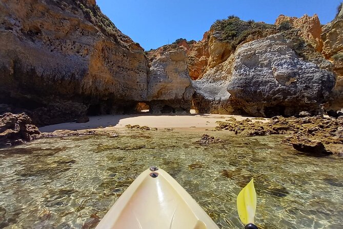 Kayak Adventure through the Ponta da Piedade Caves in Lagos - The End Part Everyone Remembers: Swim Time, Drink, and Sun