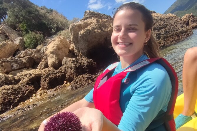 Kayak and Snorkeling Adventure in Lisbon - Snorkeling at Arrábida: what you can look for under the water