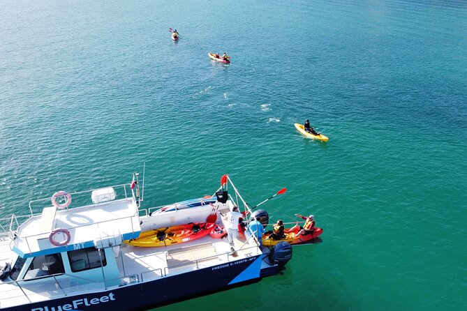 Kayak Experience in Ponta da Piedade - Practical tips before you go (so nothing surprises you)