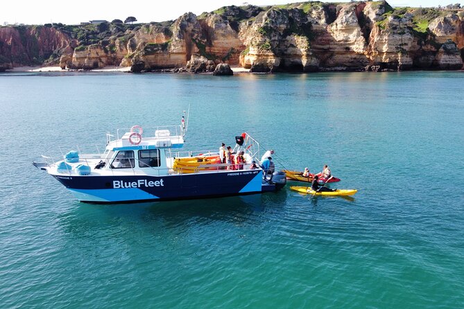 Kayak Experience in Ponta da Piedade - Who this tour fits best, and who should think twice