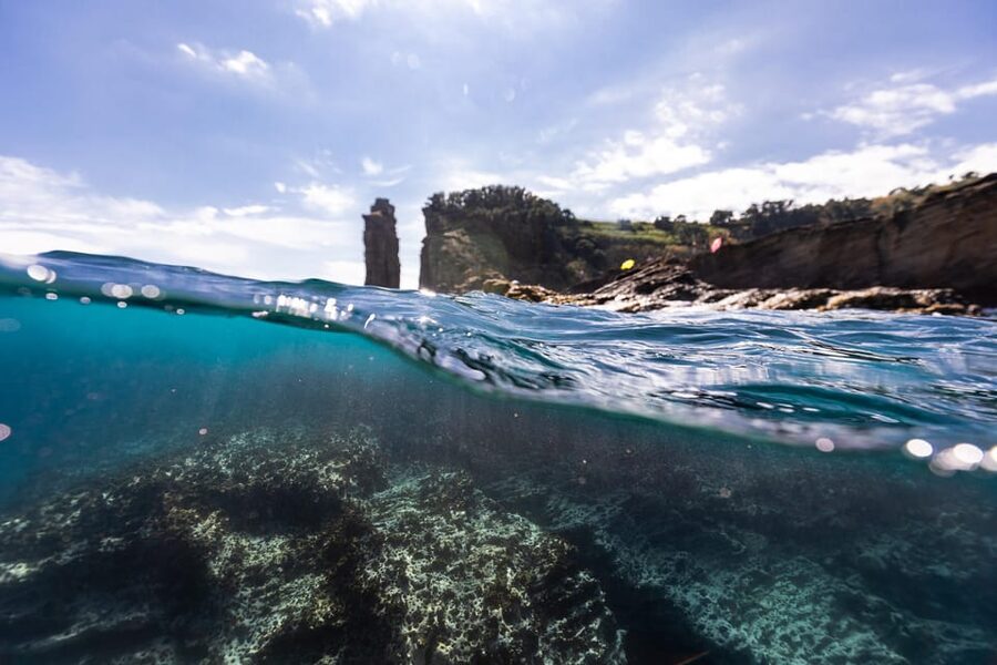 Kayak Guided Tour: Vila Franca do Campo Islet - Swimming and snorkeling: pack smart, expect conditions to steer the plan