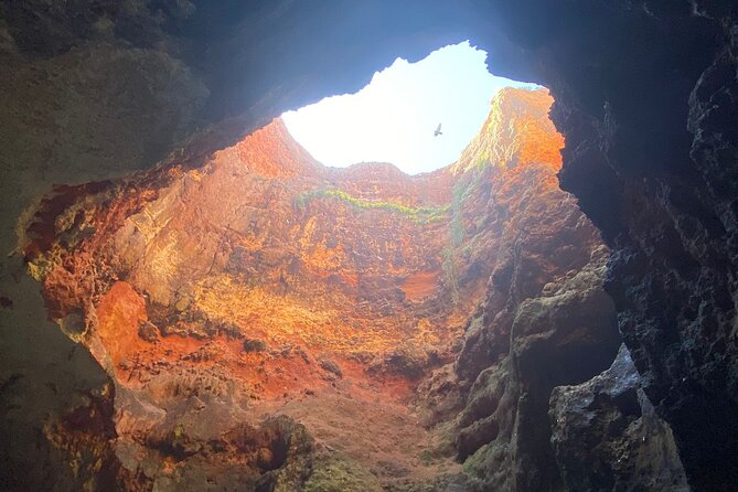 Kayak Tours with Amazing Caves, sea life and Marine Biologist . - The Small-Group Factor, Up to 15 People