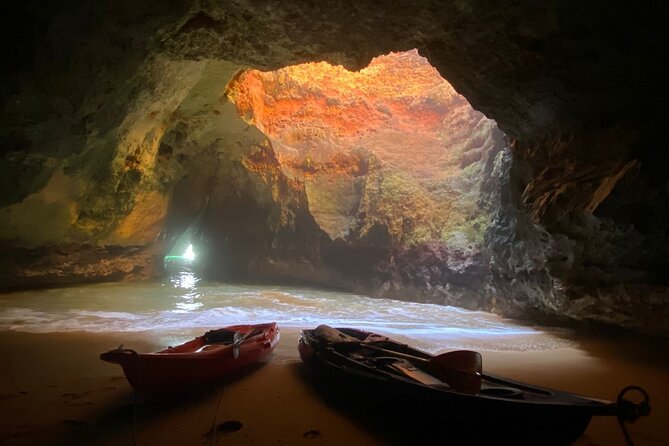 Kayak Tours with Amazing Caves, sea life and Marine Biologist . - A Marine Biologist Guide Changes the Whole Trip