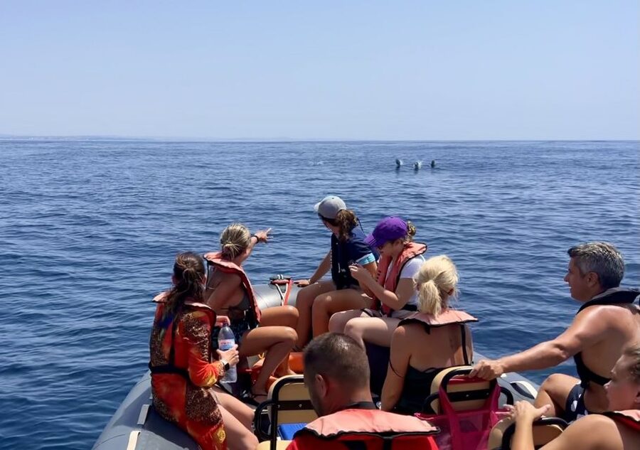 Lagoa: Dolphin Watching & Benagil Tour with Biologist Guide - Benagil Cave and the rock formations: what to expect from the cave portion