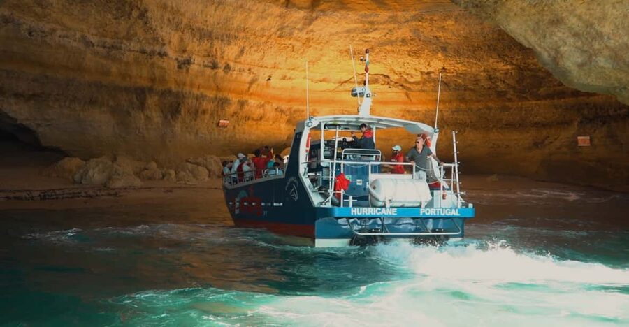 Lagos: Combo Dolphin and Benagil Tour with Marine Biologist - Marine biologists make the dolphin spotting feel real