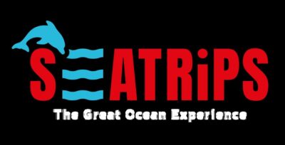 Combo Dolphin and Benagil Tour with Marine Biologist
