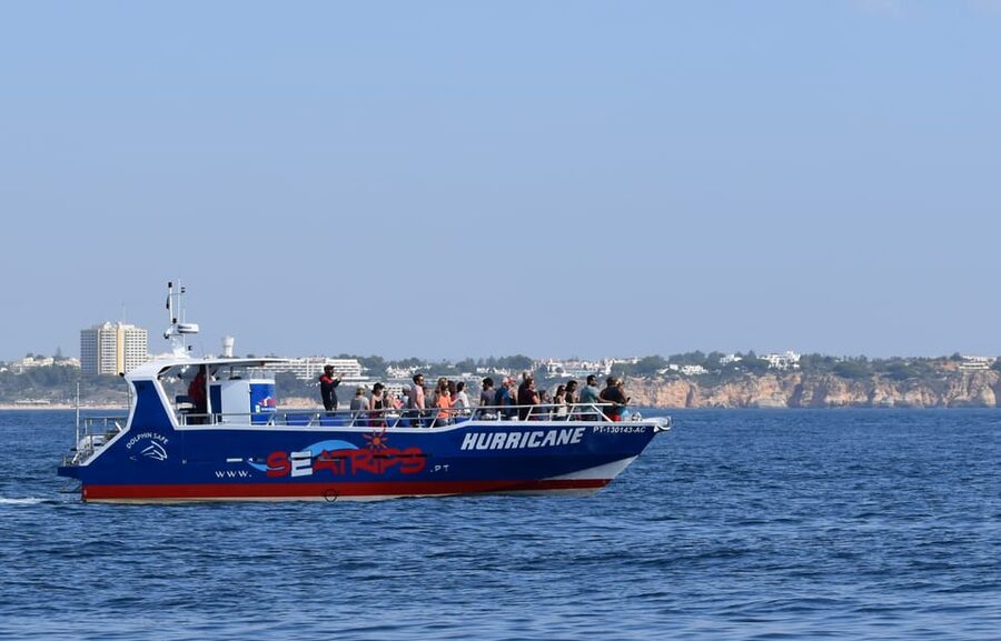 Lagos: Combo Dolphin and Benagil Tour with Marine Biologist - Who this tour fits best, and who should skip it