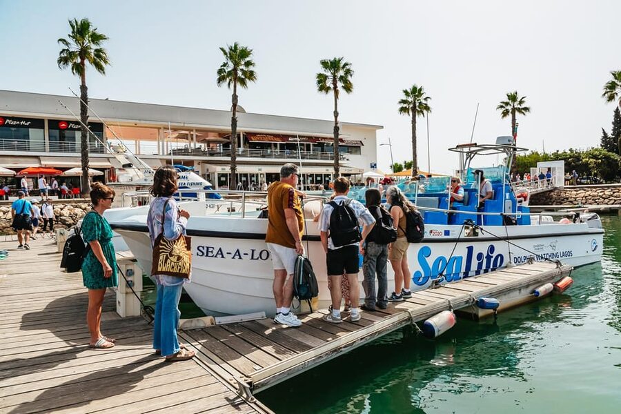 Lagos: Dolphin Watch Tour with Professional Marine Biologist - Price and Value: Is About $42 Worth It?