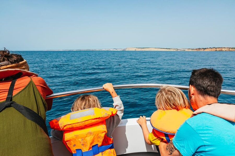 Lagos: Dolphin Watch Tour with Professional Marine Biologist - The 1.5-Hour Speedboat Plan, From Marina to Dolphin Spotting