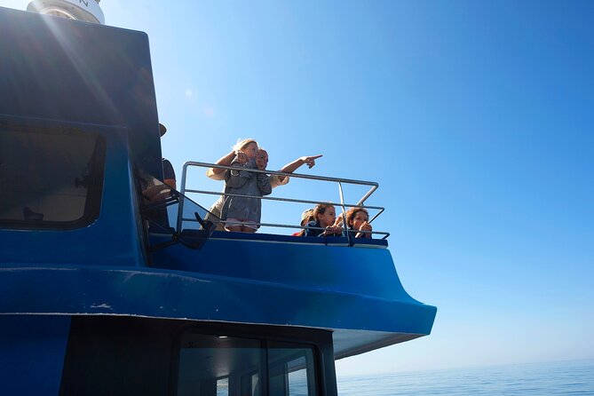 Lagos: Dolphins & Benagil Caves – Catamaran - Why This Catamaran Works Better Than a Rushy Speed-Boat Day