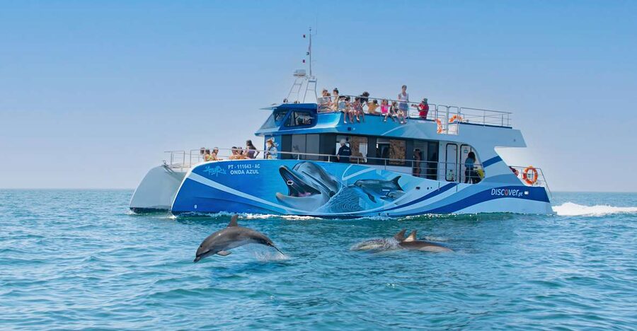 Lagos: Dolphins & Caves - Catamaran - Why this catamaran dolphin cruise works so well in Lagos