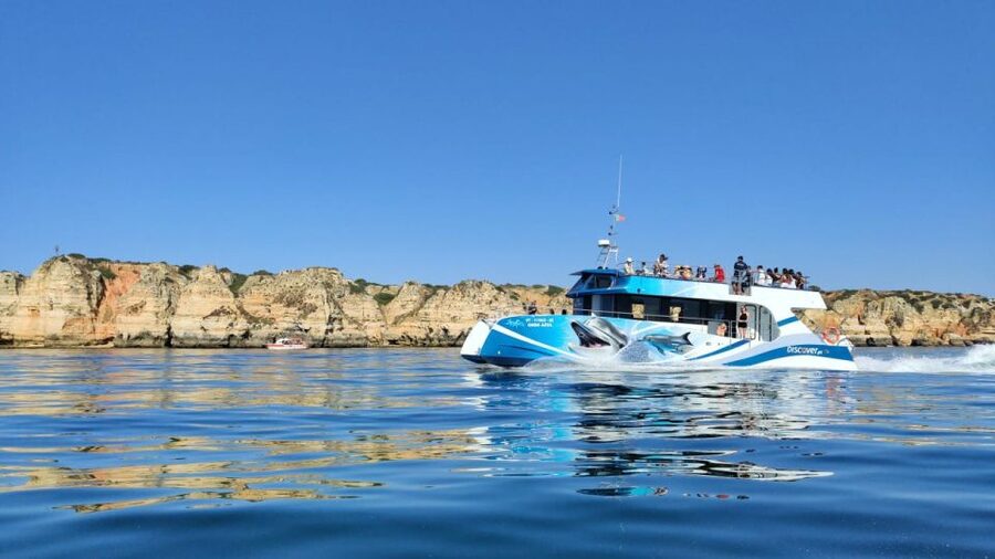 Lagos: Dolphins & Caves - Catamaran - Dolphin watching with live marine biologist commentary