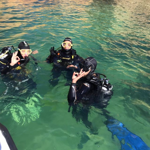 Lagos: Guided Scuba Diving Trip for Beginners - The price: does $135 in Lagos feel like a fair deal?