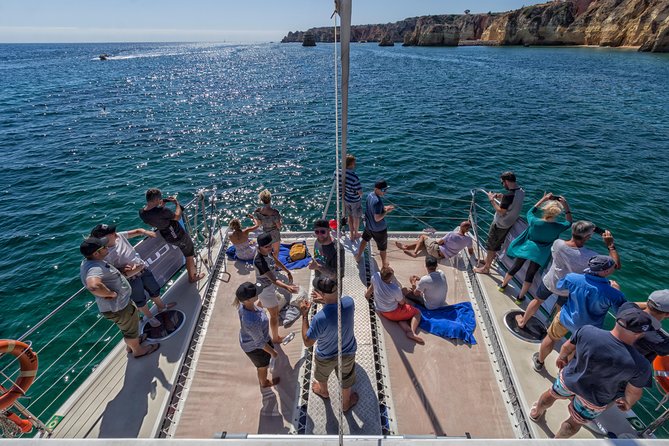 Lagos Half-Day Catamaran Cruise with Lunch - How the crew and live commentary shape the experience